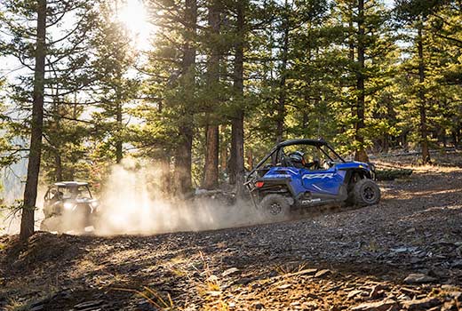 CHOOSE THE PERFECT LINE